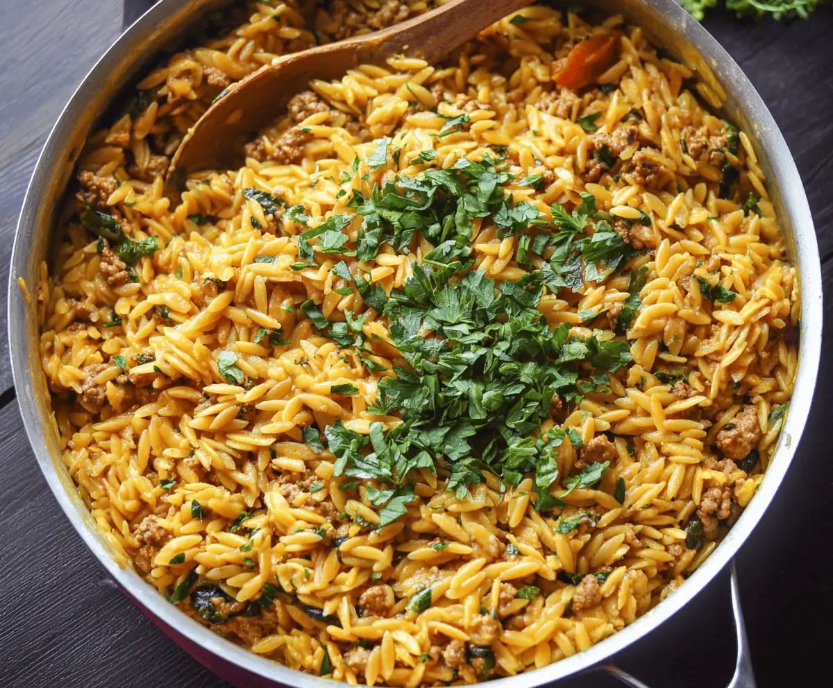 Best Ground Turkey Orzo Recipe for Quick, Healthy Meals