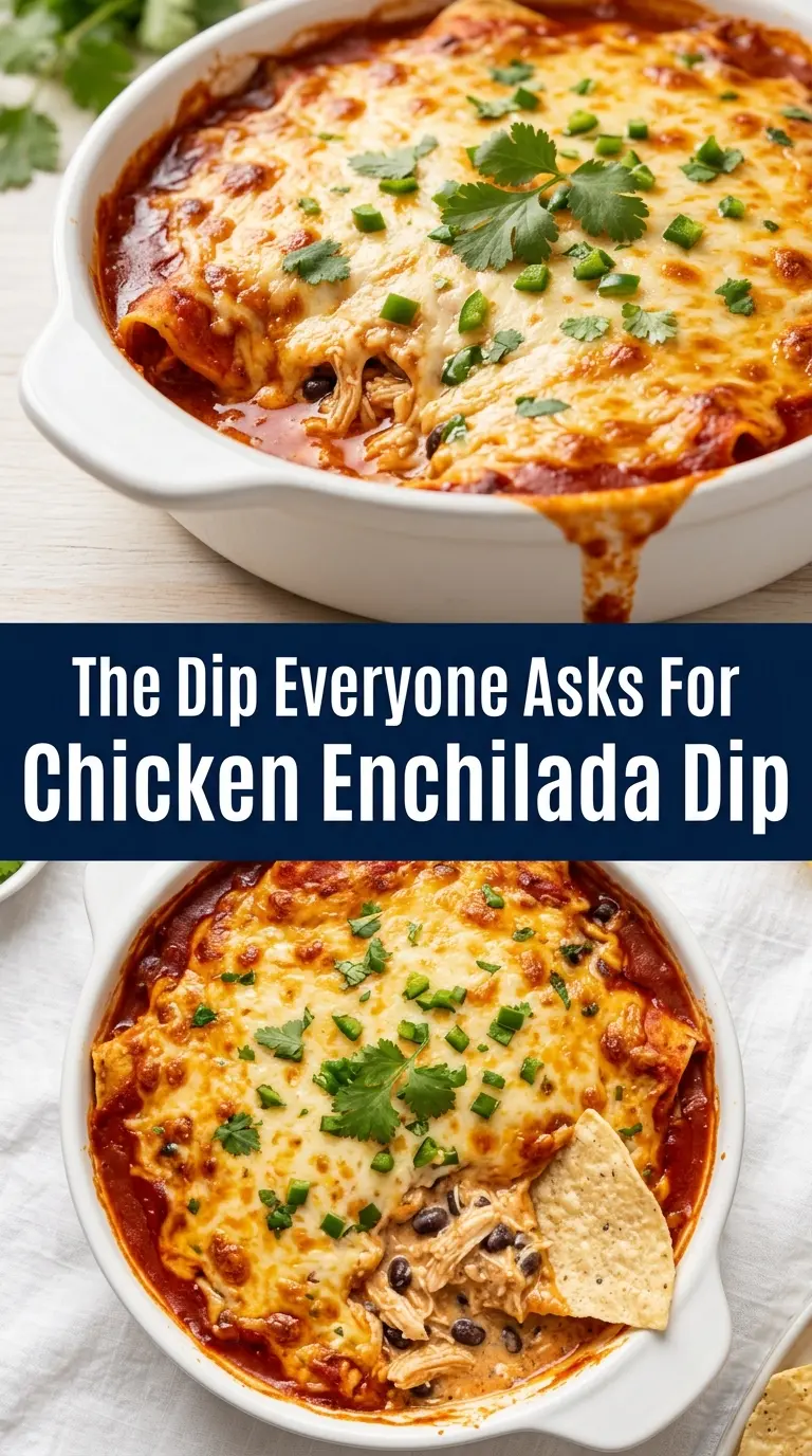 Chicken Enchilada Dip